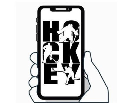 Hockey Decal: Matte Vinyl Stickers for Phone, Laptop, and More