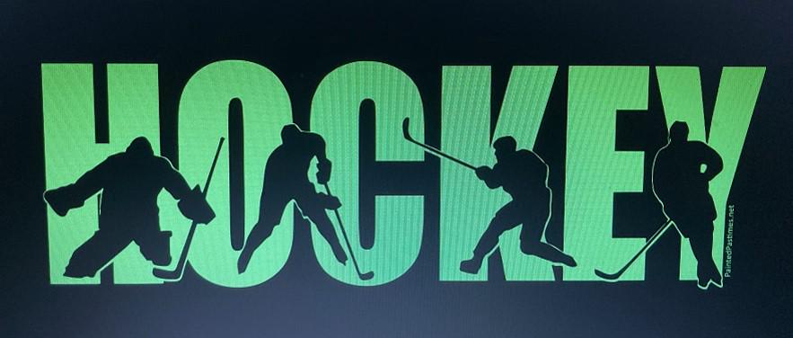 Hockey Goalie Pillowcase: Brick Wall Design, Sports Bedroom Decor